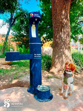 La jornada de 'Manchas' se