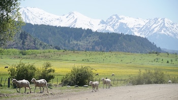 Los paisajes representan uno de