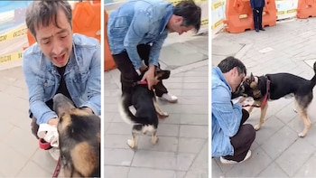 El actor Jorge Hugo Marín confirmó que ‘Guaro’ apareció: ladrones que lo escopolaminaron para robar su casa en Bogotá se habían llevado a su perro