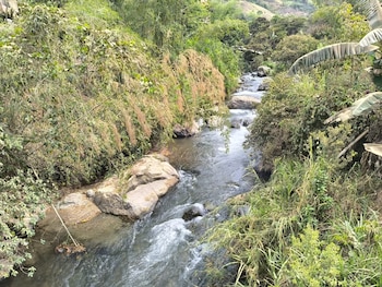 Los ríos hacen parte del