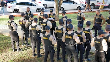 Los investigadores establecieron que la finca operaba como núcleo de una red de cultivo y tráfico de marihuana. (Foto cortesía DNCD de República Dominicana)