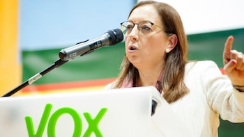 La diputada en Les Corts Valencianes Llanos Massó (Foto de archivo: Europa Press)
