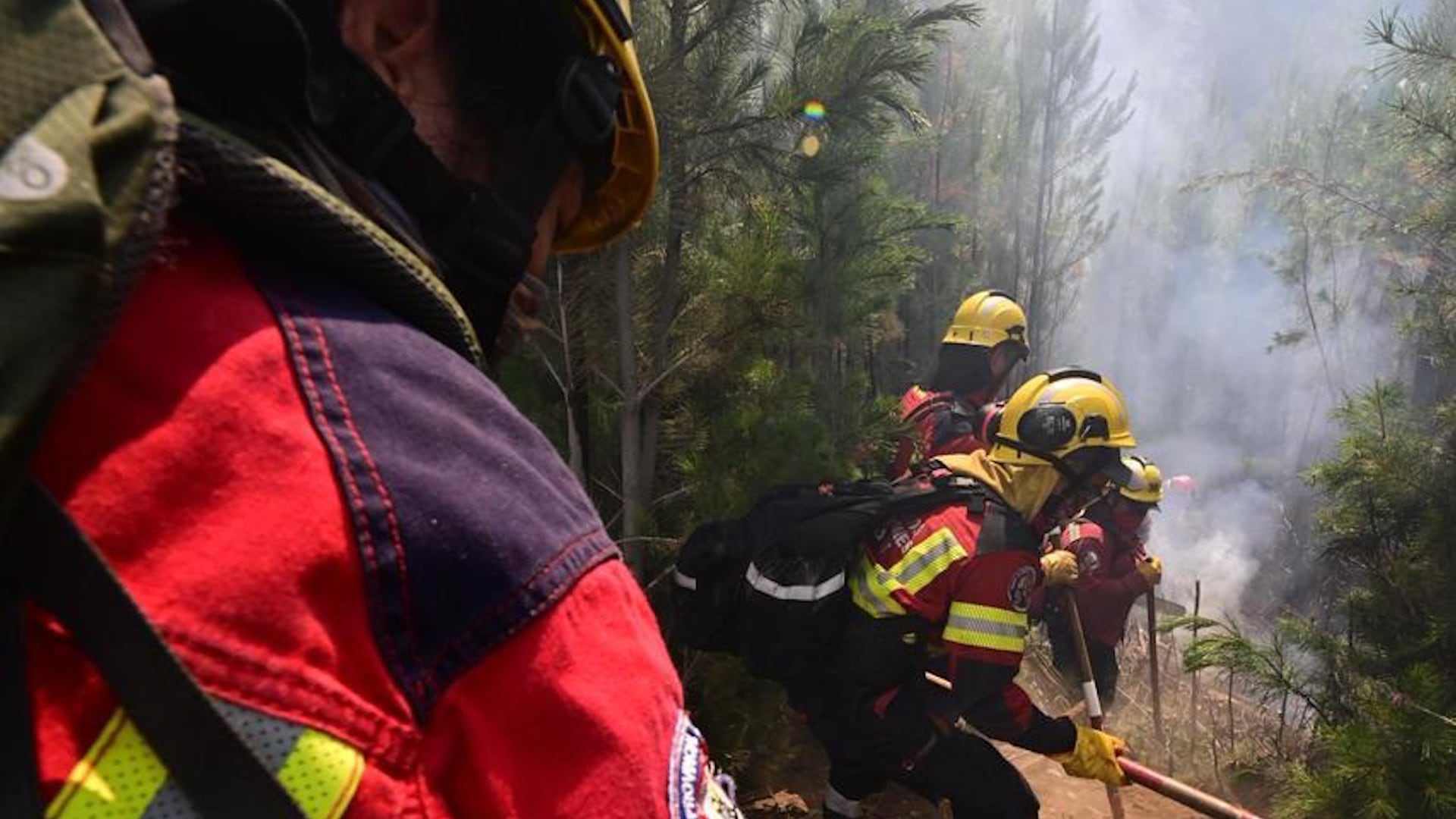 El trabajo de los brigadistas en la zona del conflicto ígneo (Servicio Provincial del Manejo del Fuego)