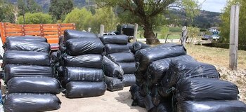 Las importaciones de estos productos