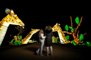 Brilla Zoo, en Getafe (brillaevents.com).