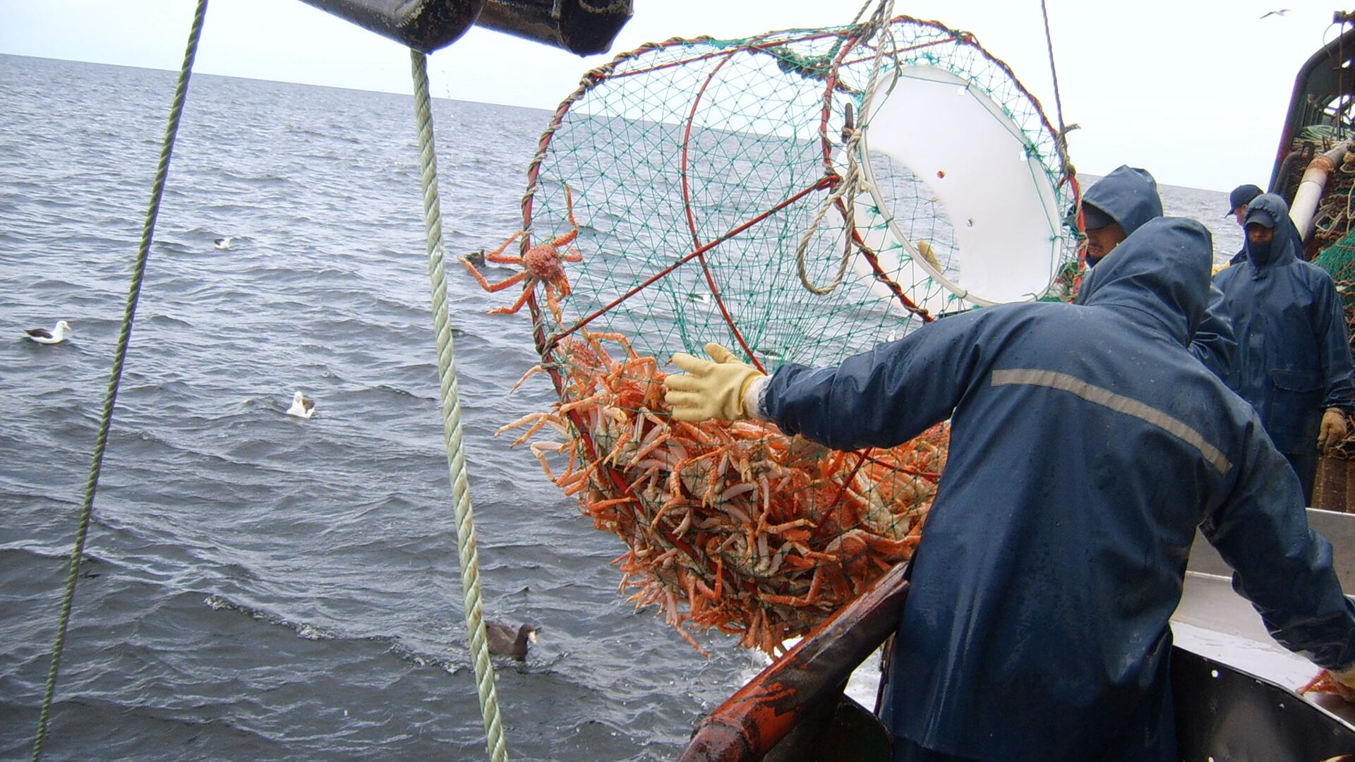 La acción fue en directo detrimento de los pescadores artesanales del extremo sur chileno.