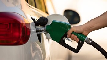 Los expertos advirtieron que se