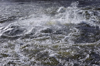 Imagen 5BSYLVZ7MBDVDK3UDLWYFMF3TA