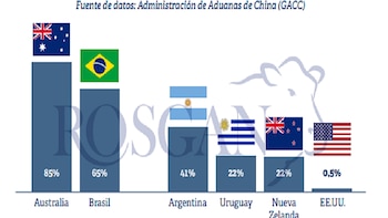 Australia y Brasil agotan sus cuotas en China y abren una oportunidad para la carne argentina