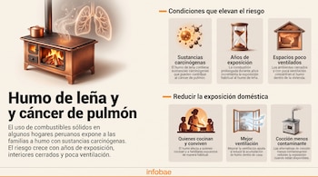 Infografía con texto sobre humo de leña y cáncer de pulmón, una cocina a leña encendida, ilustración de pulmones e íconos explicativos.