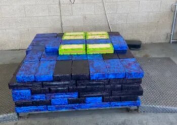 Más de 300 paquetes fueron