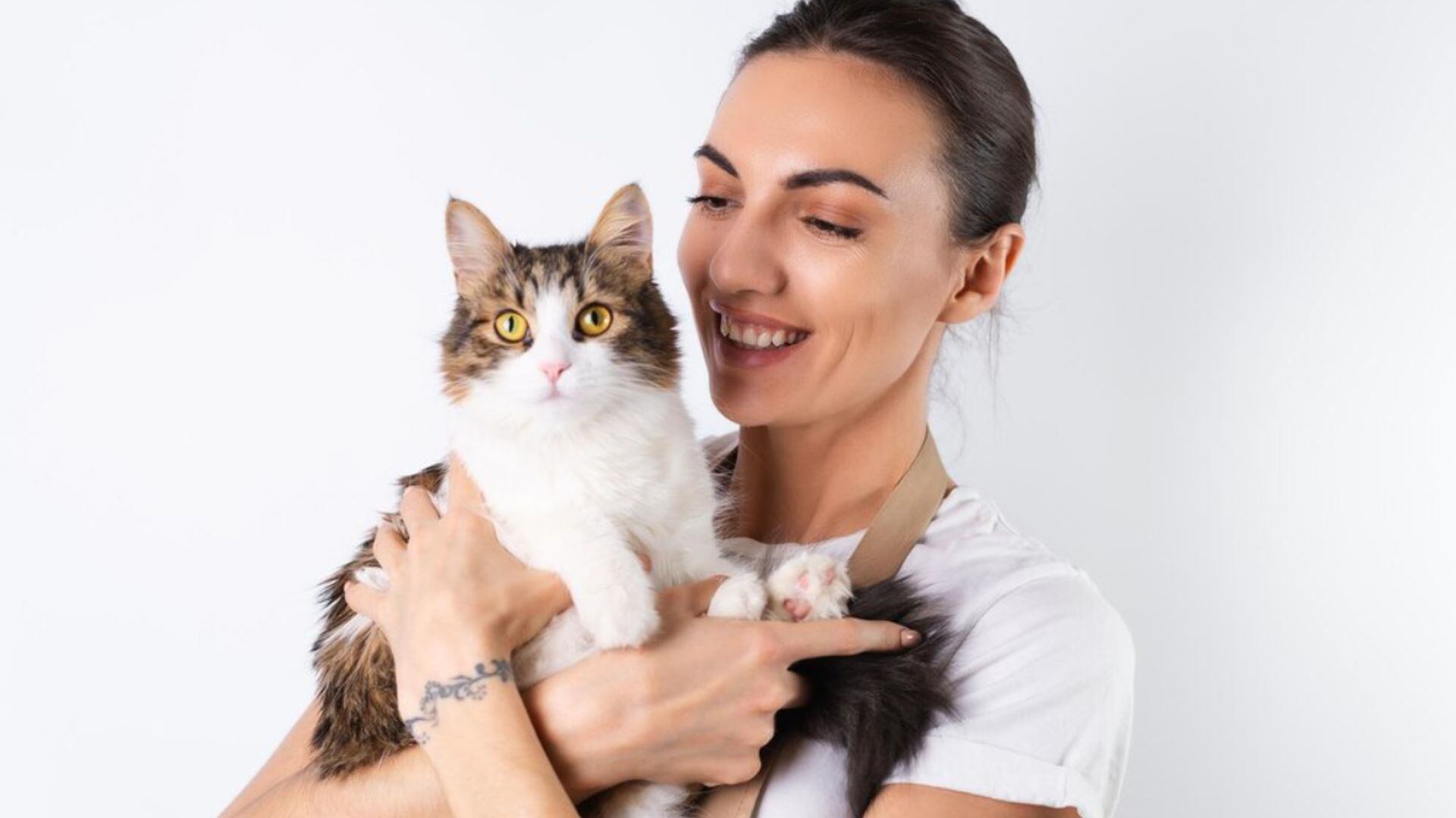 La compañía de un gato actúa como soporte emocional ante la soledad o el duelo, ayudando a reducir el estrés y el riesgo de depresión (Freepik)