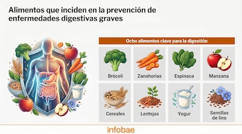Infografía: Un torso humano con órganos digestivos, rodeado de frutas y verduras. Presenta una tabla con 8 alimentos clave para la salud digestiva.