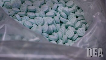 ‘Portadoras de cadáveres’: así cruzan