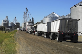 Transporte agroexportador