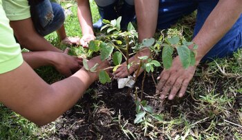 Bogotá será la casa del