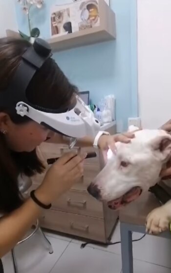 Existe una posibilidad de que