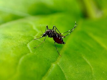 Un aspecto importante a considerar