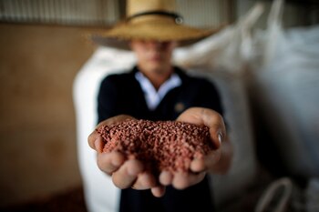 Un trabajador agrícola muestra un fertilizante antes de esparcirlo en un campo de soja, cerca de Brasilia (REUTERS/Adriano Machado)