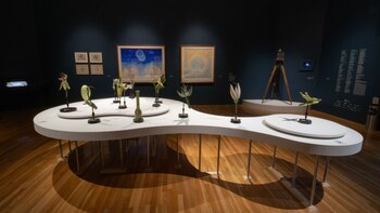 Palacio de Bellas Artes presenta