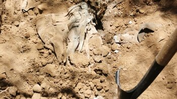 Las fosas clandestinas se localizaron