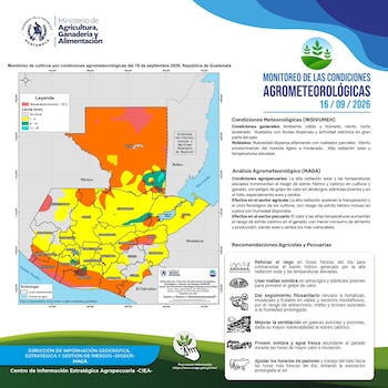 Infografía con mapa de Guatemala en tonos naranja y amarillo, logotipos oficiales y cuadros de texto con recomendaciones agrícolas y pecuarias