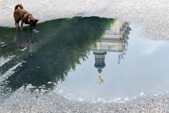 Hay que evitar que los