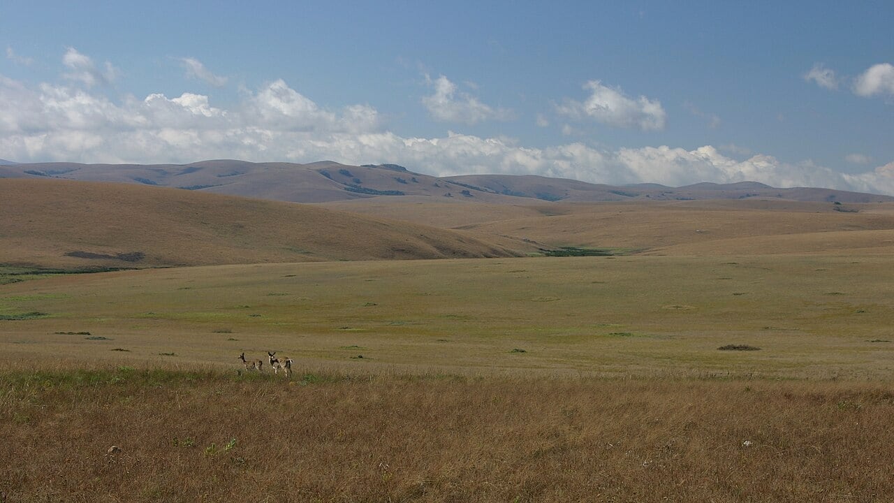 Las cumbres del macizo de Mulanje alcanzan cerca de 2.987 metros y tienen valor cultural para pueblos locales (Wikimedia Commons)