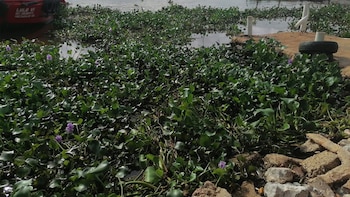 Pescadores alertan por nuevo derrame