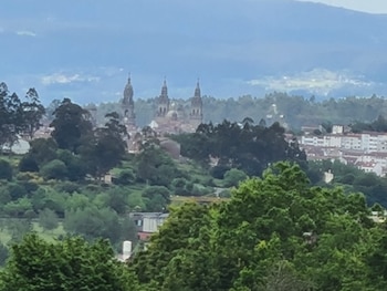 Camino de Santiago
