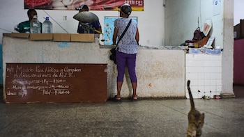 Miles de cubanos se vuelcan a la basura ante la escasez de alimentos: “Es a toda hora, todos los días”