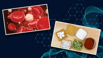 Fibra primero y carbohidratos al