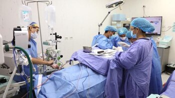 Durante 10 meses, Brayllan