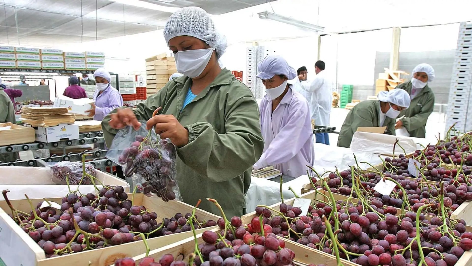 Exportaciones regionales crecieron 40,6% y ya representan el 86,6% de los envíos del Perú