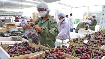 Exportaciones regionales crecieron 40,6% y ya representan el 86,6% de los envíos del Perú