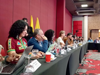 Plenaria del Comité Nacional de Participación II