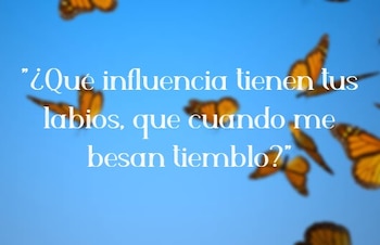 Canciones de amor mariachi Diseño: