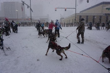 Las advertencias incluyen riesgos para