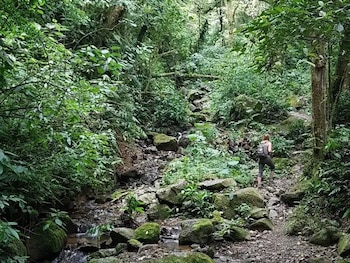 Las primeras llamadas de emergencia