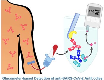 El medidor de glucosa puede