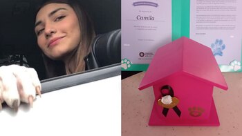 El animal no soportó más