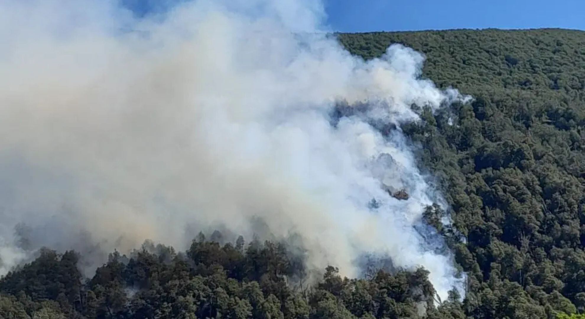 El incendio en el área Los Manzanos