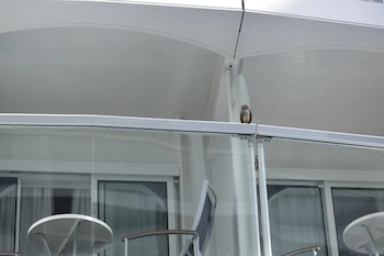 La insólita odisea de los