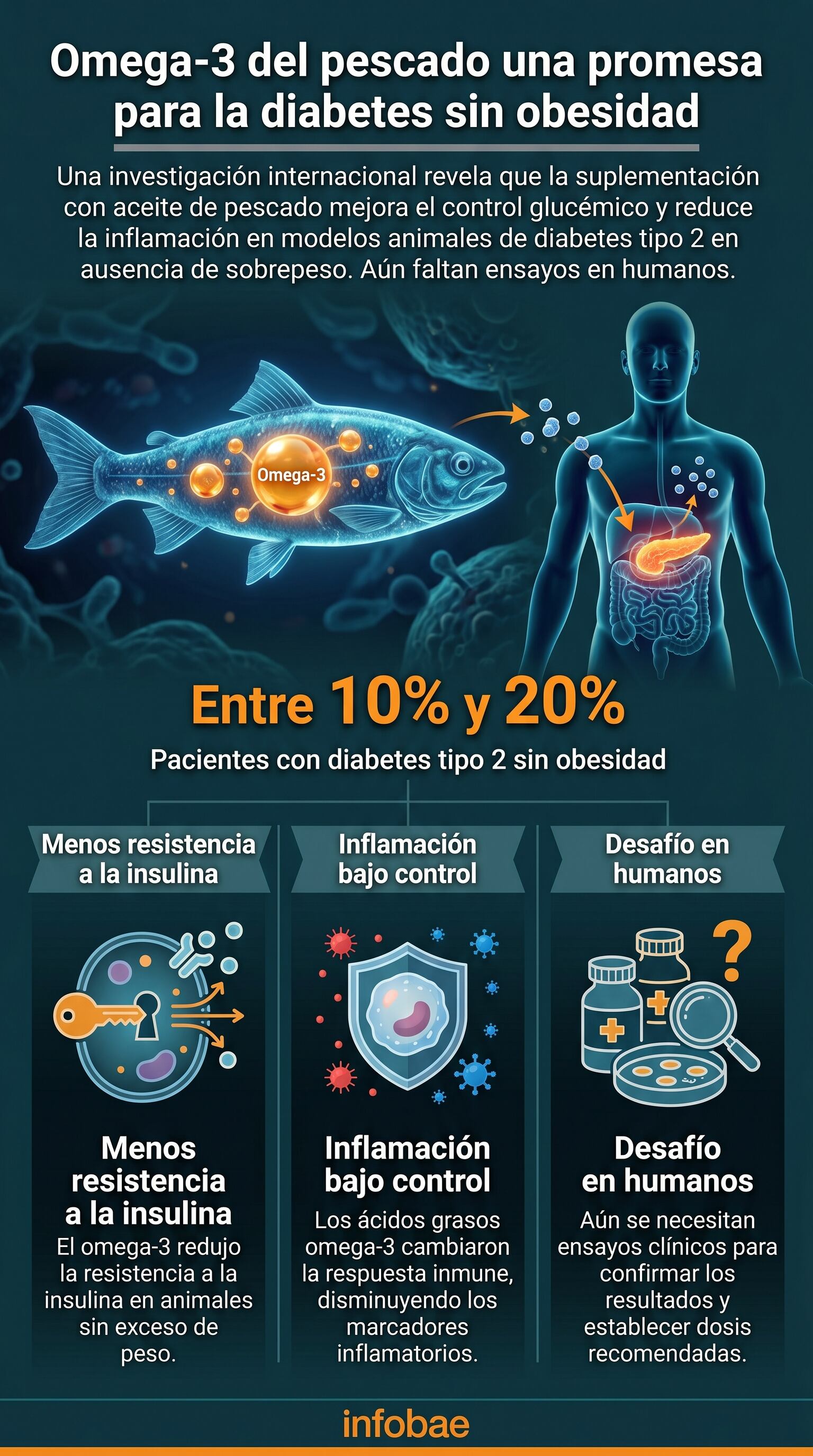 El estudio mostró que el suplemento de aceite de pescado moduló linfocitos hacia un perfil antiinflamatorio y mejoró la regulación del azúcar en sangre (Imagen ilustrativa Infobae)
