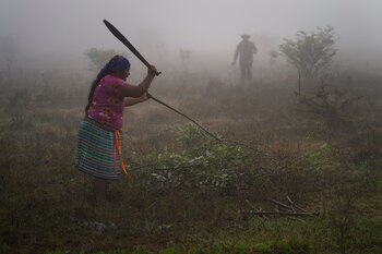 La reforma para pueblos indígenas y afromexicanos los reconoce como sujetos de derecho, ya no como de interés público. (AP Foto/Marco Ugarte, Archivo)