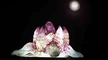 Una muestra de ficción extraña inaugura un laboratorio para artistas sub-30 en el CC Borges