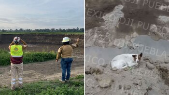 Socavón en Puebla: desapreció el