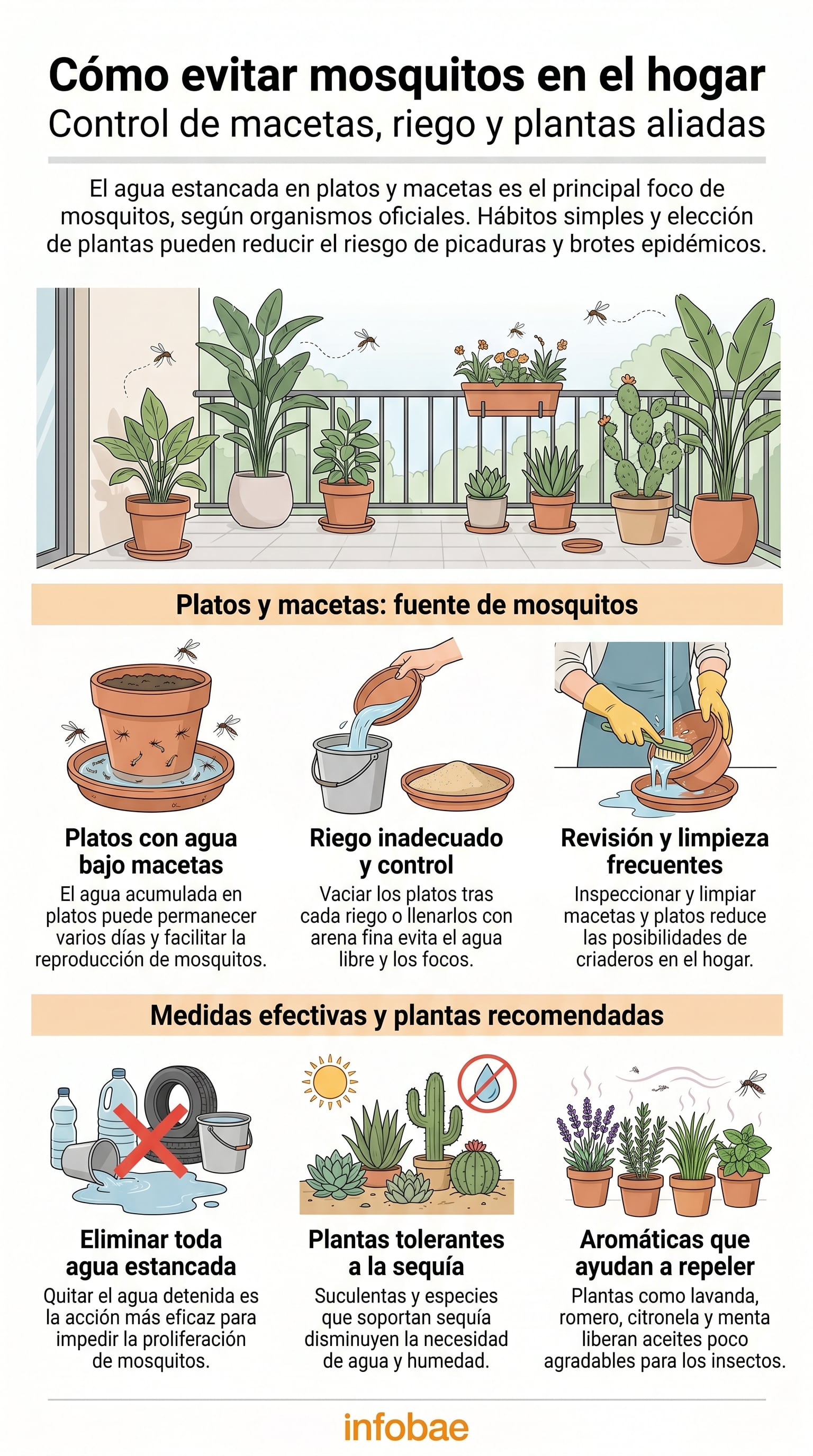 La infografía detalla métodos esenciales para el control de mosquitos, incluyendo el manejo del agua en macetas y la elección de plantas aliadas para un hogar seguro. (Imagen Ilustrativa Infobae)