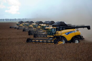 La cosecha de granos que