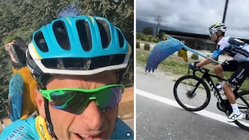 El ciclista Diego Pescador habló